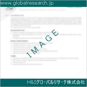 グローバルリサーチ調査資料のイメージ